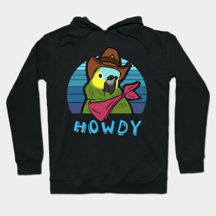 Aesthetic Howdy Cowboy Blue Fronted Amazon Hoodie